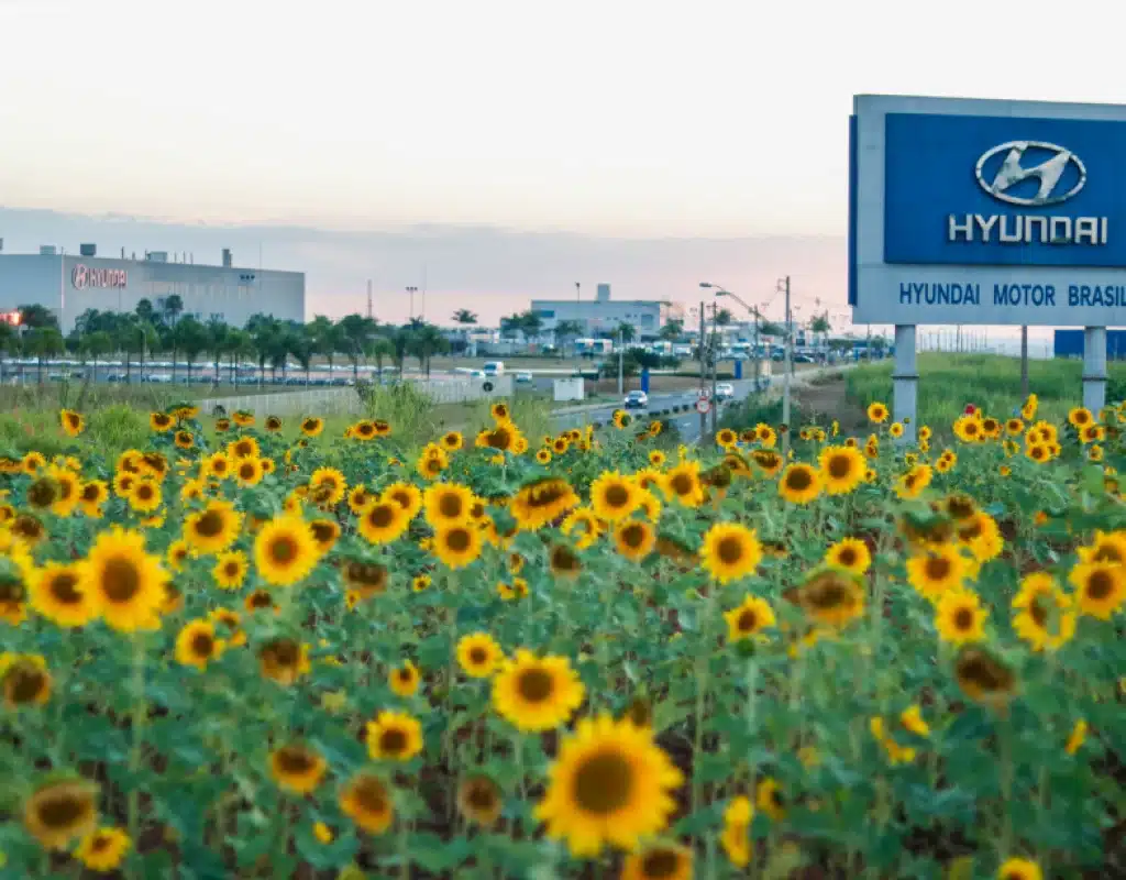 hyundai - zero waste - lixo zero - residuo cero - basura cero - desecho cero - Brasil